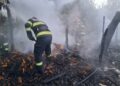 Incendiu devastator într-o gospodărie din Carasa. Peste 100 de păsări și trei capre au ars în flăcări