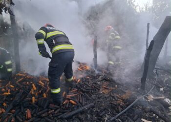 Incendiu devastator într-o gospodărie din Carasa. Peste 100 de păsări și trei capre au ars în flăcări