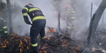 Incendiu devastator într-o gospodărie din Carasa. Peste 100 de păsări și trei capre au ars în flăcări