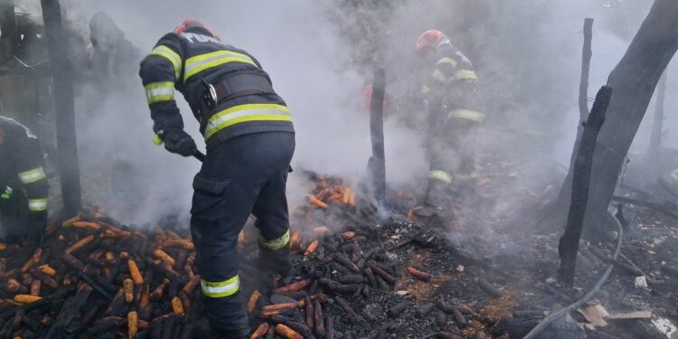 Incendiu devastator într-o gospodărie din Carasa. Peste 100 de păsări și trei capre au ars în flăcări