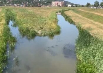 Interviu cu profesorul Silviu Gurlui: De ce nu reușește Iașul să valorifice Bahluiul? „Delta Urbană” nu poate exista fără un râu curat