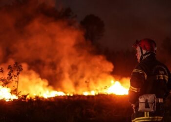 Incendiile de vegetație fac ravagii în sudul Europei