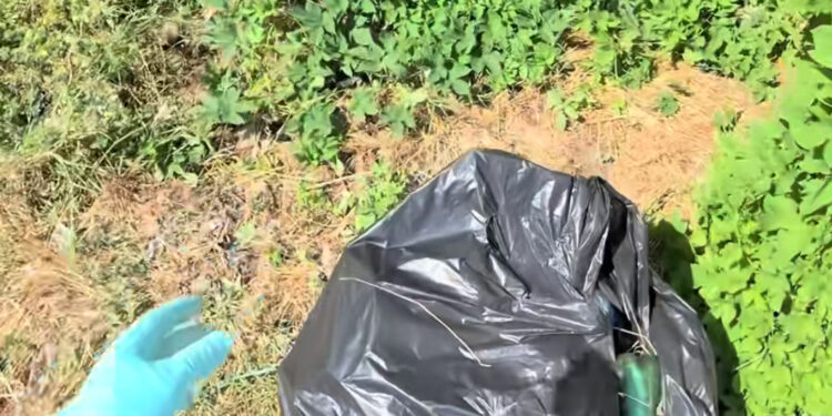 Dorian Popa a început munca în folosul comunității: „Am fost prost, acum plătesc”