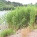 Descoperire șocantă în Republica Moldova: rămășițele a două femei, găsite într-un lac. Anchetatorii încearcă să le identifice