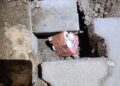 Articole pirotehnice descoperite pe stadionul „Ilie Oană” înaintea meciului Petrolul – Dinamo