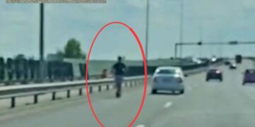 Trotinetă electrică surprinsă pe autostradă. Polițiștii reamintesc că astfel de vehicule nu au voie să circule pe drumurile de mare viteză