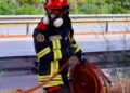 Pompierii români din Franța rămân în stare de alertă din cauza riscului ridicat de incendii