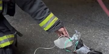 Eroii în uniformă nu fac diferențe când vine vorba de salvarea unei vieți. Un porumbel a primit oxigen după un incendiu