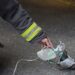 Eroii în uniformă nu fac diferențe când vine vorba de salvarea unei vieți. Un porumbel a primit oxigen după un incendiu