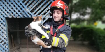 Copiii și-au pierdut pisica în timpul jocului. Pompierii au găsit-o și au salvat-o dintr-o fântână