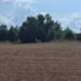 Tragedie în Iași! Un bărbat care mergea pe linia de tren a fost spulberat de un tren de călători. Victima este încă neidentificată
