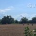 Accident feroviar lângă Pașcani. Persoană lovită de trenul București Nord – Suceava