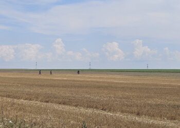 AUR critică reacția autorităților după doborârea dronei: „Militarii români și-au făcut datoria. Puterea politică trebuie să explice”