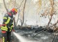 Pompierii români continuă lupta cu incendiile de vegetație din sudul Franței
