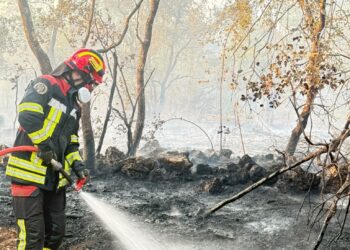 Pompierii români continuă lupta cu incendiile de vegetație din sudul Franței