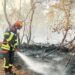 Pompierii români continuă lupta cu incendiile de vegetație din sudul Franței