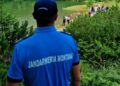 Momente de panică în Munții Călimani. Zeci de turiști polonezi au fost escortați de jandarmi după întâlnirea cu o ursoaică și puiul ei