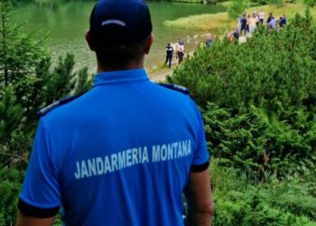 Momente de panică în Munții Călimani. Zeci de turiști polonezi au fost escortați de jandarmi după întâlnirea cu o ursoaică și puiul ei