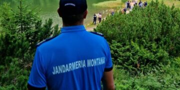 Momente de panică în Munții Călimani. Zeci de turiști polonezi au fost escortați de jandarmi după întâlnirea cu o ursoaică și puiul ei