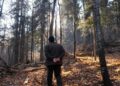 Pădurar din județul Iași, lovit intenționat cu un ATV în timpul serviciului