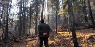 Pădurar din județul Iași, lovit intenționat cu un ATV în timpul serviciului
