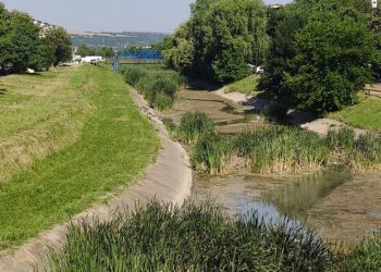 Raul Delea Municipiul Vaslui