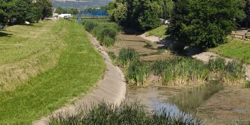 Raul Delea Municipiul Vaslui