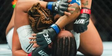 ANAF a descoperit o fraudă fiscală de peste 26 de milioane de lei în domeniul transmisiunilor online MMA