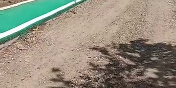Pista biciclete comuna Scheia
