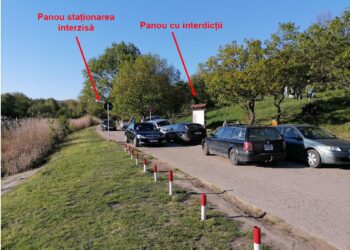 Directorul Grădinii Botanice din Iași vrea să scape de mașini: „Șoseaua Munteni ar trebui să devină o alee a Grădinii Botanice”