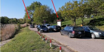 Directorul Grădinii Botanice din Iași vrea să scape de mașini: „Șoseaua Munteni ar trebui să devină o alee a Grădinii Botanice”