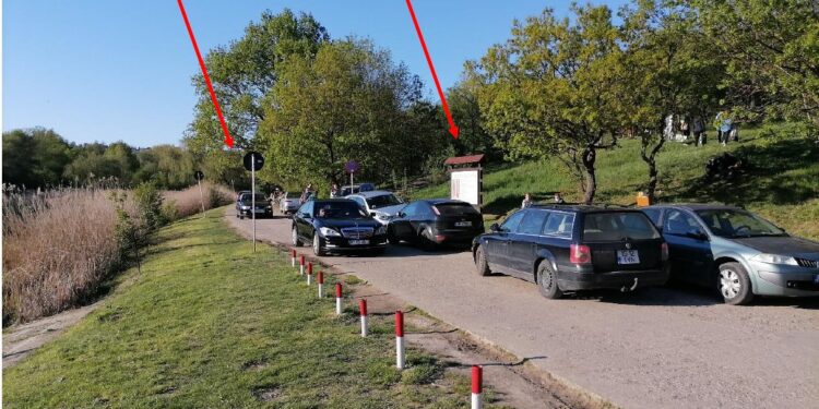 Directorul Grădinii Botanice din Iași vrea să scape de mașini: „Șoseaua Munteni ar trebui să devină o alee a Grădinii Botanice”
