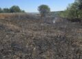 Incendii de vegetație în Botoșani: trei locuințe și culturi agricole, salvate de pompieri