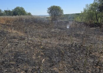 Incendii de vegetație în Botoșani: trei locuințe și culturi agricole, salvate de pompieri