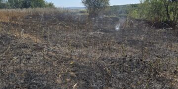 Incendii de vegetație în Botoșani: trei locuințe și culturi agricole, salvate de pompieri