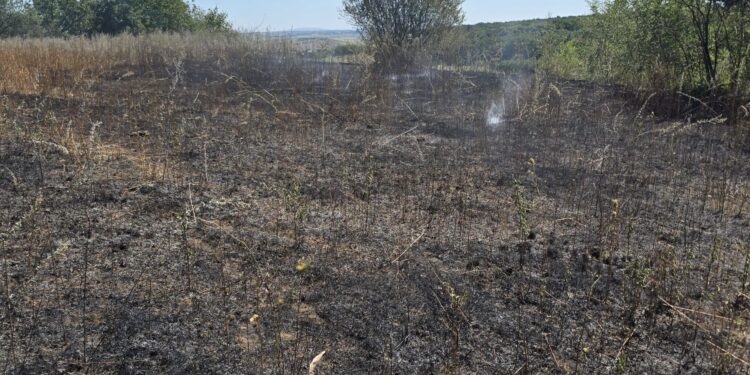 Incendii de vegetație în Botoșani: trei locuințe și culturi agricole, salvate de pompieri