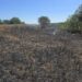 Incendii de vegetație în Botoșani: trei locuințe și culturi agricole, salvate de pompieri