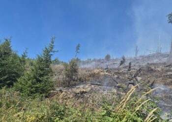 Incendiu de vegetație uscată între Focșani și Suraia