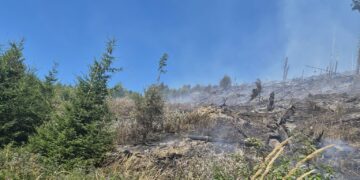 Incendiu de vegetatie Vrancea