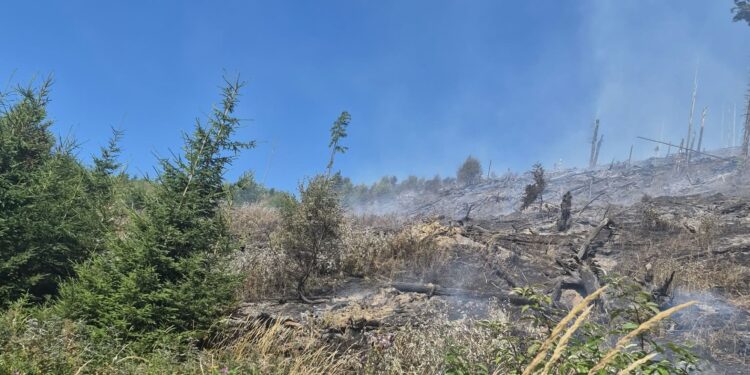 Incendiu de vegetație uscată între Focșani și Suraia