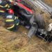 Grav accident rutier în orașul Târgu-Neamț