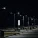 O comună din România stinge iluminatul public din lipsă de bani. Localnicii se tem de urșii care coboară în sat