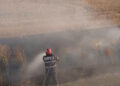 Incendiu de vegetație în Vrancea: 30 de hectare de vegetație uscată au ars la Vulturu