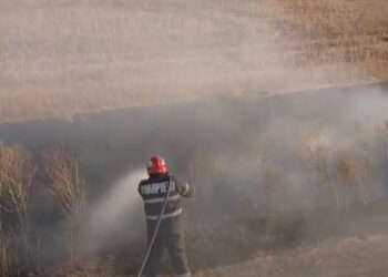 Incendiu de vegetație în Vrancea: 30 de hectare de vegetație uscată au ars la Vulturu