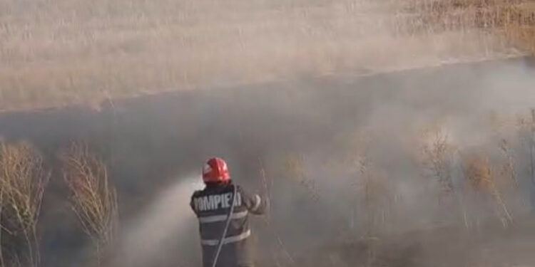 Incendiu de vegetație în Vrancea: 30 de hectare de vegetație uscată au ars la Vulturu