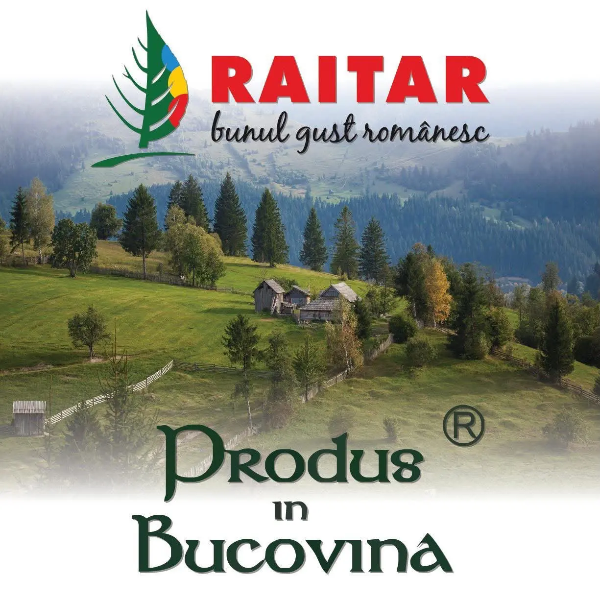 Alo Romania | Știri și analize