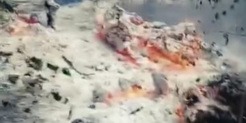 Tulcea | Incendiu puternic într-o pădure de lângă Plauru. Localnicii spun că a explodat o dronă