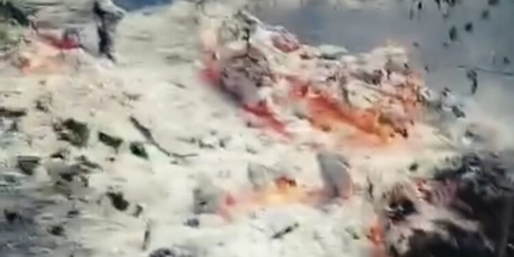 Tulcea | Incendiu puternic într-o pădure de lângă Plauru. Localnicii spun că a explodat o dronă
