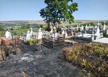 cimitir