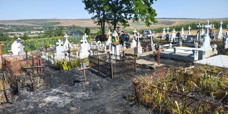 cimitir